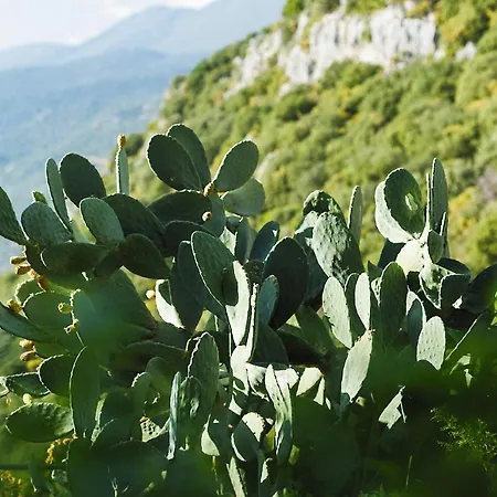 Hideaway Penthouse * Kas