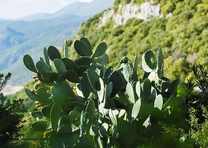 Hideaway Penthouse * Kaş